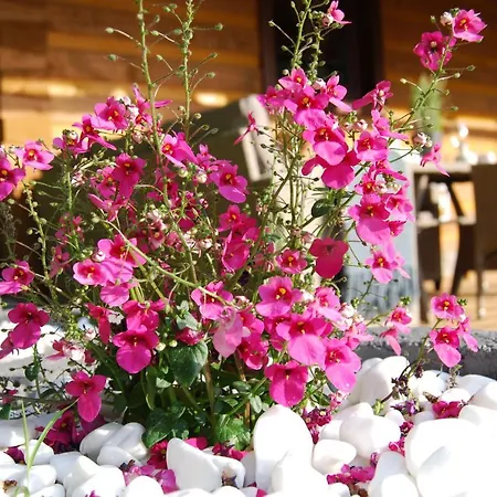 بيت خشبي Snezienka *