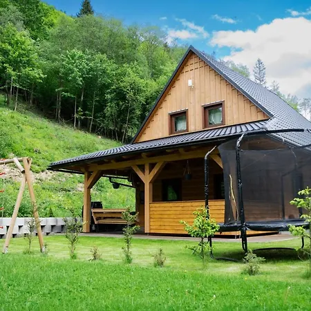 Snezienka أوسكادنيكا