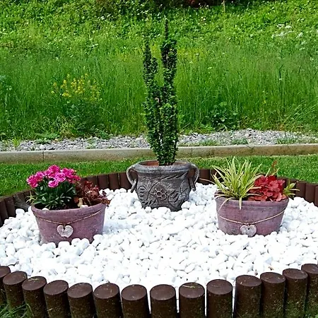 Lodge Snezienka Oscadnica