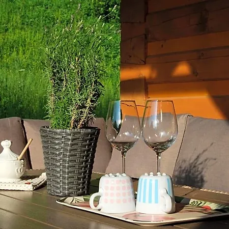 Snezienka Lodge *